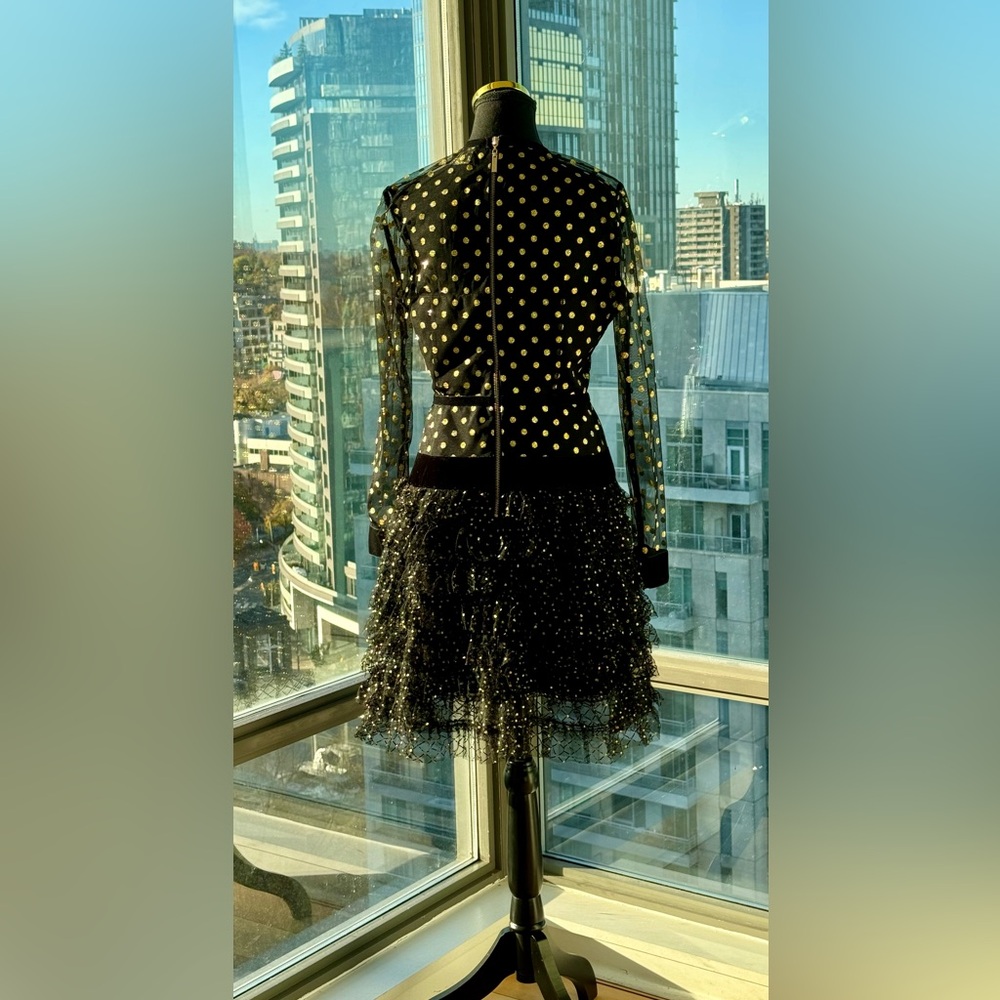 🆕 BRONX & BANCO 🧿 NWT Suns Mesh & Velvet Fit & Flare Mini Dress - Sz L - US 8 - Picture 8 of 16